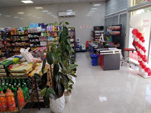 عکس افق کوروش (بیدخت هاشمی نژاد)