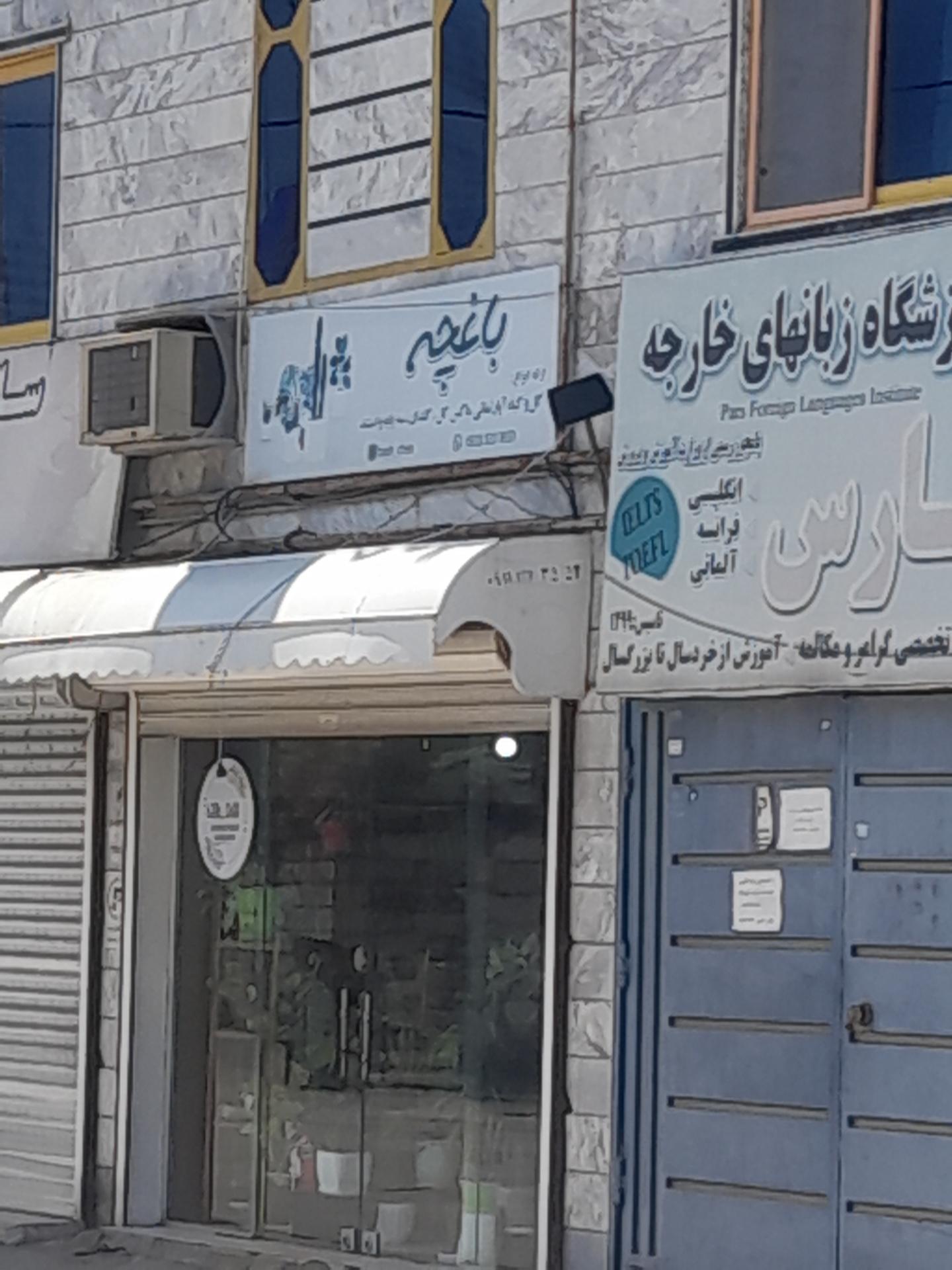 عکس گل و گیاه باغچه
