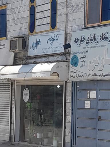 گل و گیاه باغچه