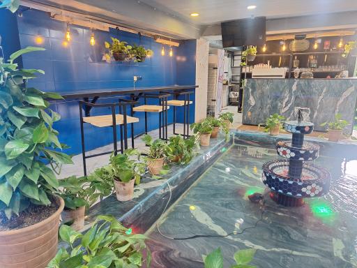 عکس کافه رمز و راز