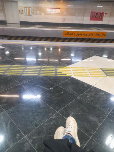 عکس میرزای شیرازی