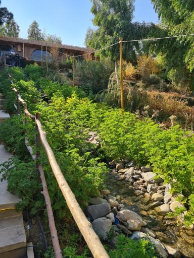 عکس مجتمع گردشگری ارگ شمعدانی