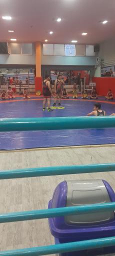 عکس باشگاه کشتی شهید شیرودی