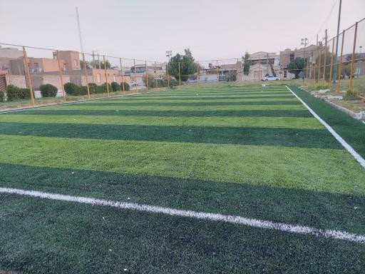 عکس چمن مصنوعی ابراهیم هادی