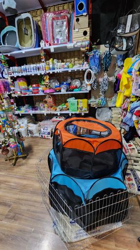 عکس پت شاپ رویال