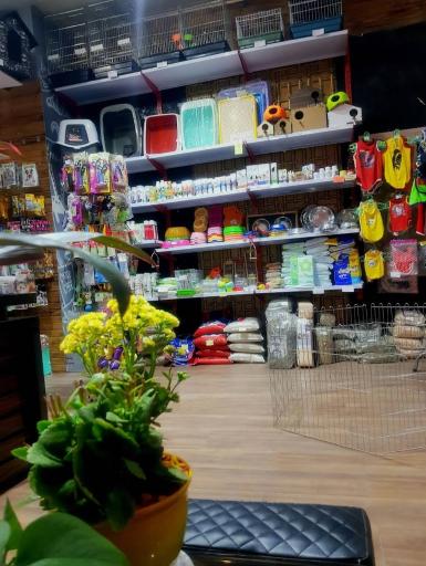 عکس پت شاپ رویال