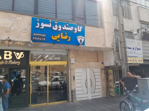 عکس گاو صندوق رضایی