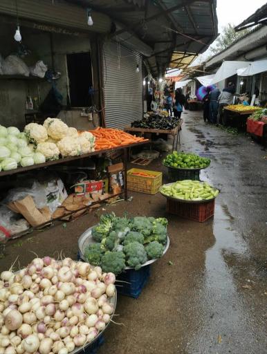 عکس بازار میوه و تره بار لشت نشا