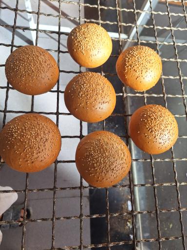 عکس نان فانتزی سید