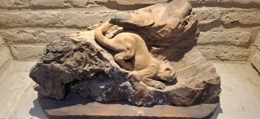 عکس موزه پارینه سنگی زاگرس (تکیه بیگلر بیگی)