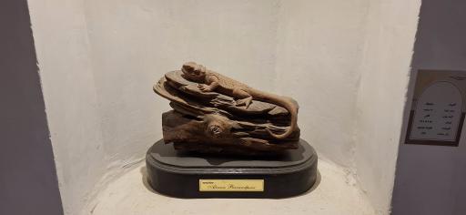 عکس موزه پارینه سنگی زاگرس (تکیه بیگلر بیگی)