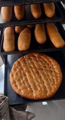 عکس نان فانتزی سید