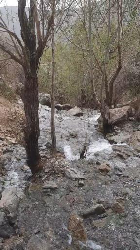 عکس آبشار تالون