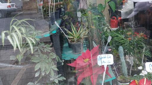 عکس گل‌فروشی سرسبزشاپ