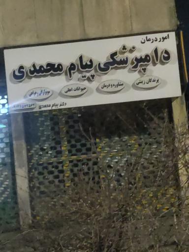 عکس دامپزشکی پیام محمدی