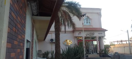 عکس نان شیرینی مسعود