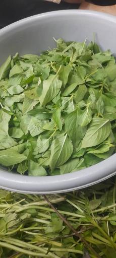 عکس سبزی مارکت کدبانو