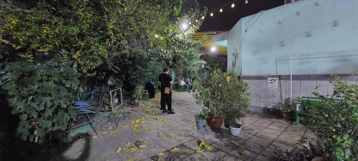 عکس مسجد الرضا