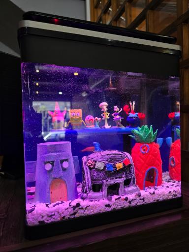 عکس رستوران کاسپین