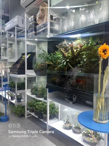 عکس گل آرایی طبیعی