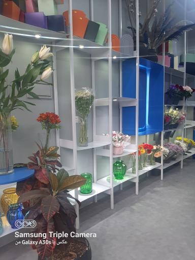 عکس گل آرایی طبیعی