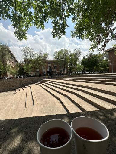 عکس آمفی تئاتر روباز دانشگاه تبریز