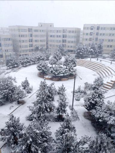 عکس مجتمع توسعه عمران (سروناز)