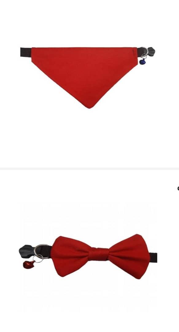 عکس داروخانه دامپزشکی رویان