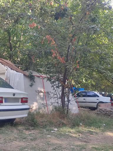 عکس باغ و رستوران نگین کهمان(شیرمحمدی)