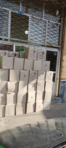 پخش تخم مرغ آذر طلایی 