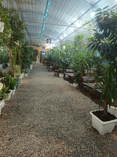 عکس سرای سنتی ستاره شهر