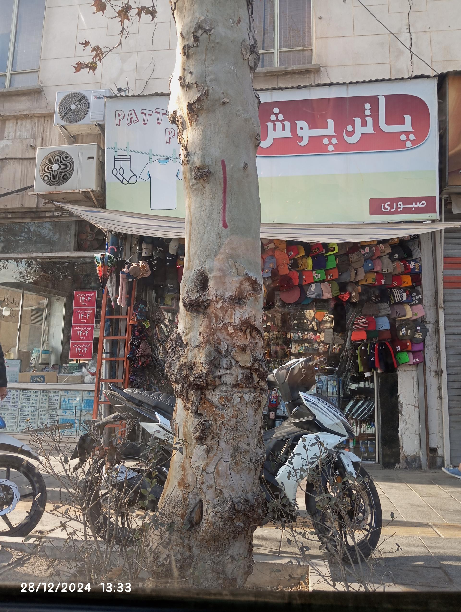 عکس پاتن پوش