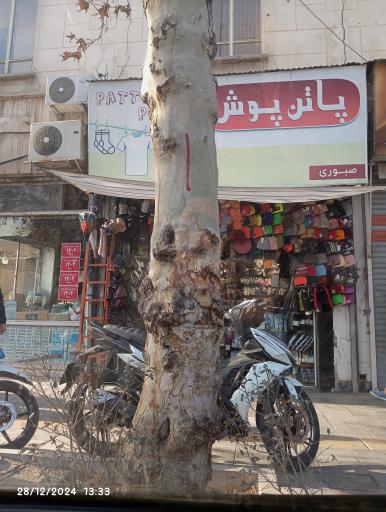 عکس پاتن پوش