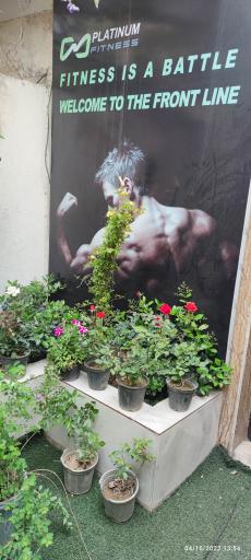 عکس باشگاه پلاتینیوم