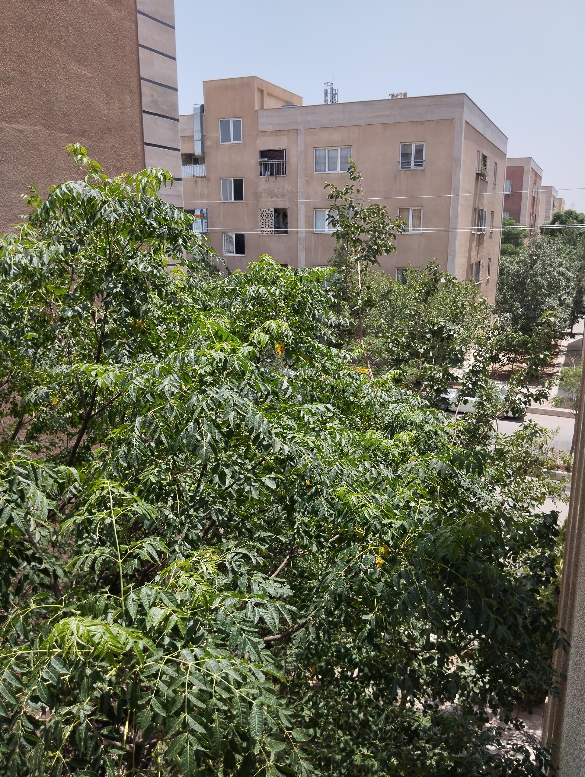 عکس ساختمان ۱۳۴