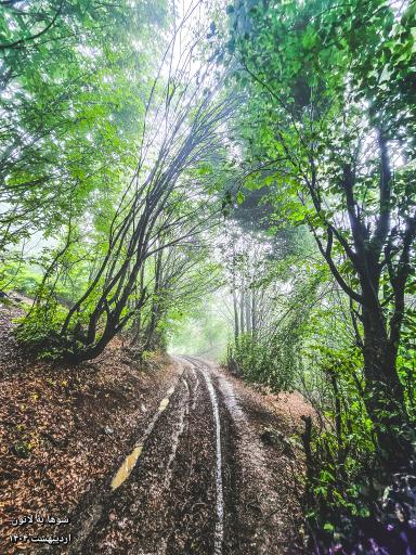 عکس ارتفاعات سوها