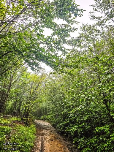 عکس ارتفاعات سوها