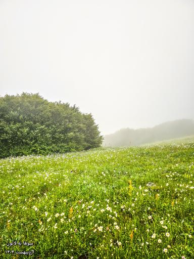 عکس ارتفاعات سوها