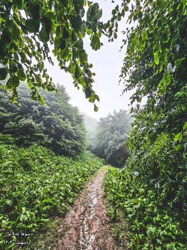 عکس ارتفاعات سوها