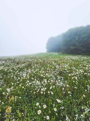 عکس ارتفاعات سوها