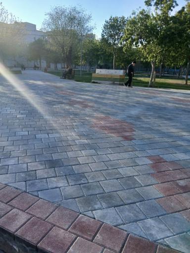 عکس بوستان تیر