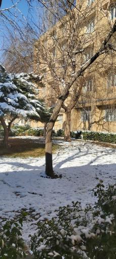 عکس بنیاد شهید و امور ایثارگران استان کرمانشاه