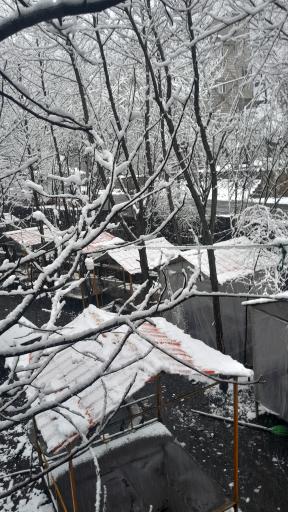 عکس تفرجگاه آهو دره