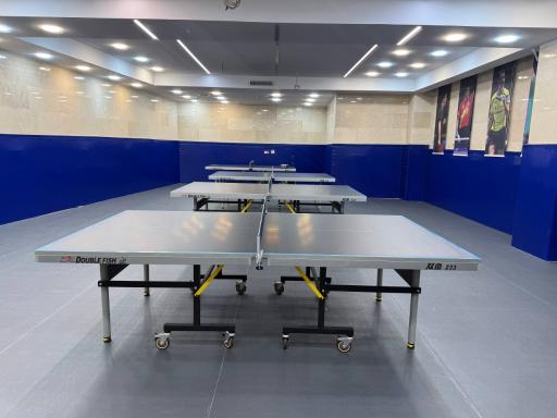 عکس اکادمی پینگ پنگ آرپ