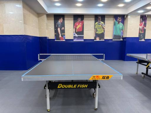 عکس اکادمی پینگ پنگ آرپ