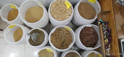 پرنده فروشی چی چی نی پت