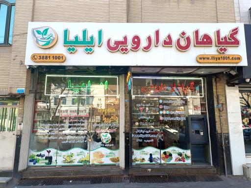 عکس گیاهان دارویی ایلیا