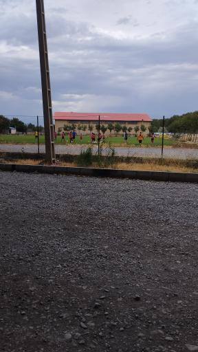 عکس ورزشگاه زمین چمن فوتبال 