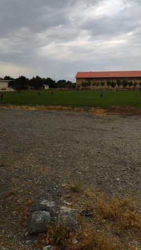 عکس ورزشگاه زمین چمن فوتبال 