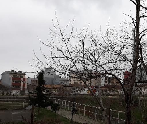 عکس پارک سیمرغ